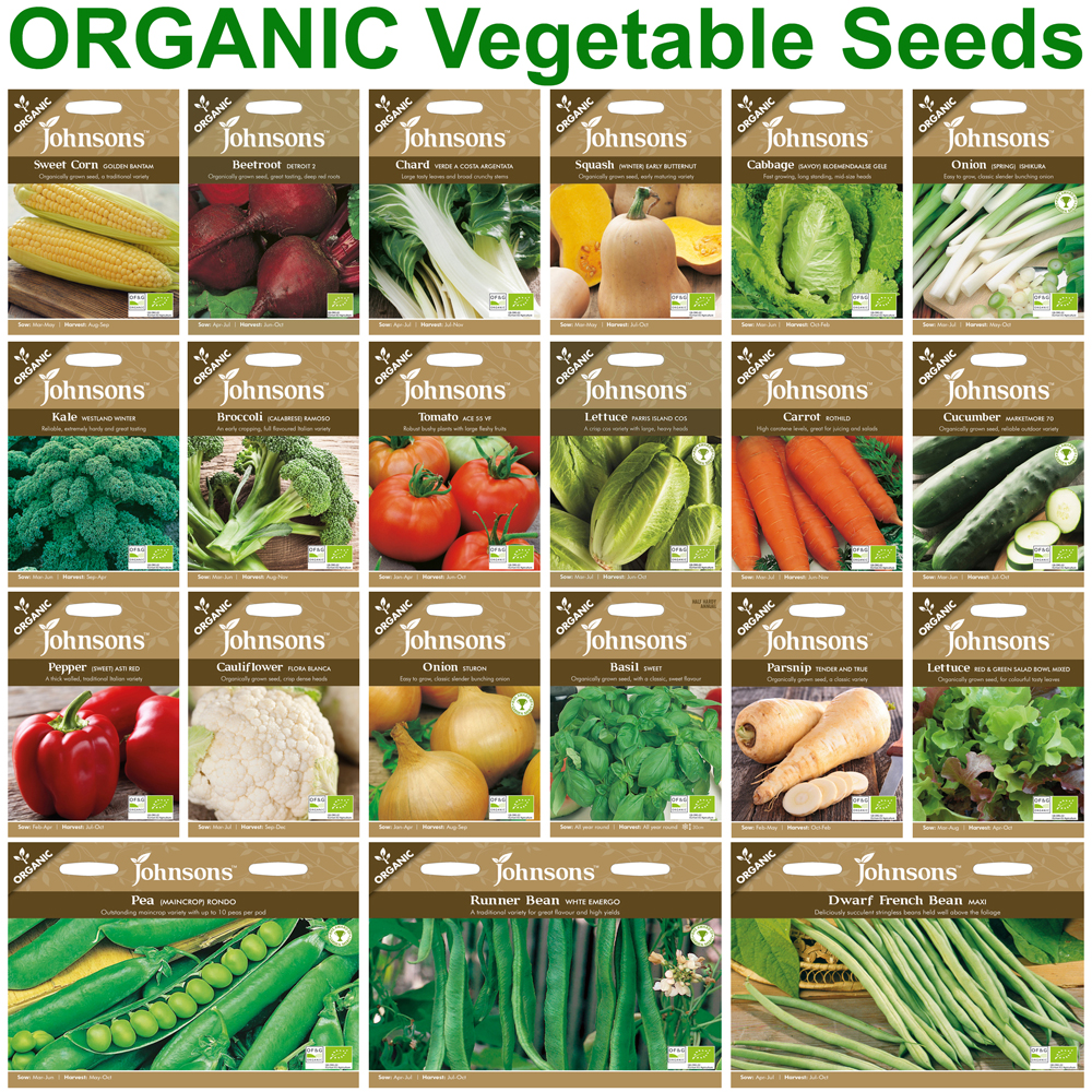 ALL TYPES OF VEGETABLE SEEDS HYBRID & NON HYBRID